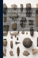 On the Ruins of a Stone Pueblo On the Animas River in New Mexico