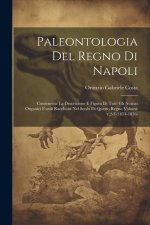 Paleontologia del regno di Napoli: Contenente la descrizione e figura di tutti gli avanzi organici fossili racchuisi nel suolo di questo regno Volume