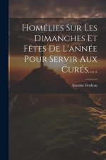 Homélies Sur Les Dimanches Et F?tes De L'année Pour Servir Aux Curés......
