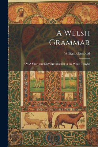 A Welsh Grammar; or, A Short and Easy Introduction to the Welsh Tongue
