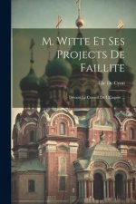 M. Witte Et Ses Projects De Faillite: Devant Le Conseil De L'Empire ...