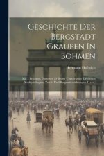 Geschichte Der Bergstadt Graupen In Böhmen: Mit 3 Beilagen, Darunter 29 Bisher Ungedruckte Urkunden (stadtprivilegien, Zunft- Und Bergwerksordnungen U