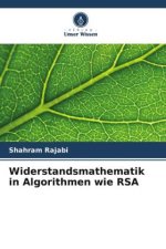 Widerstandsmathematik in Algorithmen wie RSA