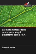 La matematica della resistenza negli algoritmi come RSA