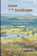 Loose on the Landscape