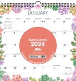 Succulents 2024 12 X 12 Spiral Wall Calendar