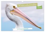 Wildtierkalender (Wandkalender 2024 DIN A3 quer), CALVENDO Monatskalender