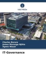 IT-Governance
