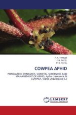 COWPEA APHID