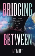 Bridging Between: Spirit's Energy Transformation Reset for Mother Earth