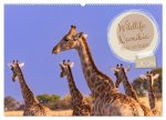 Wildlife Namibia - Etosha und Kalahari (Wandkalender 2024 DIN A2 quer), CALVENDO Monatskalender