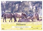 Dülmen - Wildpferde, Burgen und Schlösser (Wandkalender 2024 DIN A3 quer), CALVENDO Monatskalender