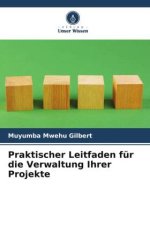Praktischer Leitfaden für die Verwaltung Ihrer Projekte