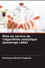Mise en service de l'algorithme analytique anisotrope (AAA)