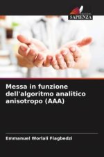 Messa in funzione dell'algoritmo analitico anisotropo (AAA)