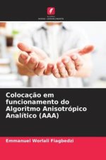 Colocaç?o em funcionamento do Algoritmo Anisotrópico Analítico (AAA)