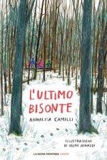 ultimo bisonte