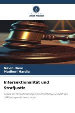 Intersektionalität und Strafjustiz