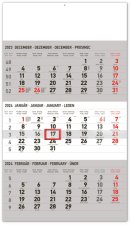 3-mesačný Nástenný kalendár 2024 - šedý so slovenskými menami