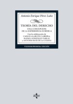 TEORIA DEL DERECHO