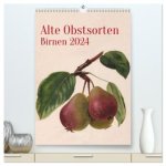 Alte Obstsorten - Birnen 2024 (hochwertiger Premium Wandkalender 2024 DIN A2 hoch), Kunstdruck in Hochglanz