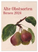 Alte Obstsorten - Birnen 2024 (Wandkalender 2024 DIN A3 hoch), CALVENDO Monatskalender