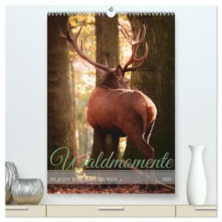 Waldmomente (hochwertiger Premium Wandkalender 2024 DIN A2 hoch), Kunstdruck in Hochglanz
