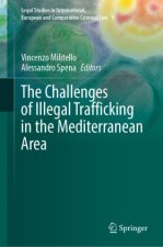 The Challenges of Illegal Trafficking in the Mediterranean Area