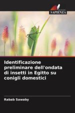 Identificazione preliminare dell'ondata di insetti in Egitto su conigli domestici