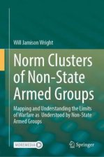 Norm Clusters of Non-State Armed Groups