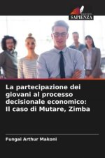 La partecipazione dei giovani al processo decisionale economico: Il caso di Mutare, Zimba
