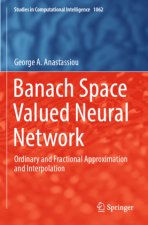 Banach Space Valued Neural Network
