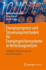 Energieprognose und Steuerungsmethoden für Energiespeichersysteme in Verteilungsnetzen