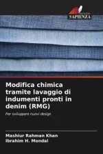 Modifica chimica tramite lavaggio di indumenti pronti in denim (RMG)
