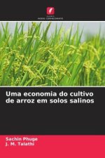 Uma economia do cultivo de arroz em solos salinos