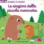 stagioni della piccola marmotta. Scorri le storie