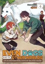 EVEN DOGS GO TO OTHER WORLDS LIFE IN V04