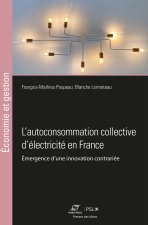 L'AUTOCONSOMMATION COLLECTIVE D'ELECTRICITE EN FRANCE