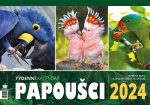 Kalendář 2024 Papoušci - týdenní, stolní