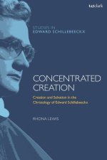 Concentrated Creation: Creation and Salvation in the Christology of Edward Schillebeeckx