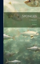 Sponges; Poriferae