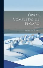 Obras Completas de F?-garo