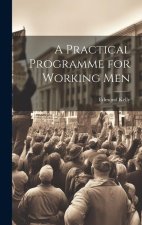 A Practical Programme for Working Men