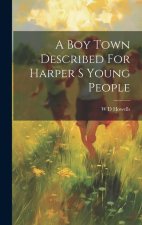 A Boy Town Described For Harper S Young People