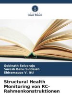 Structural Health Monitoring von RC-Rahmenkonstruktionen