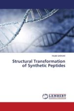 Structural Transformation of Synthetic Peptides