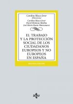 El trabajo y la protección social de los ciudadanos europeos y no europeos en Espa?a