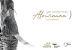 Une parenthèse africaine