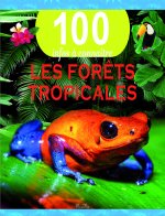 La forêt tropicale