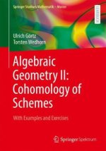 Algebraic Geometry II: Cohomology of Schemes